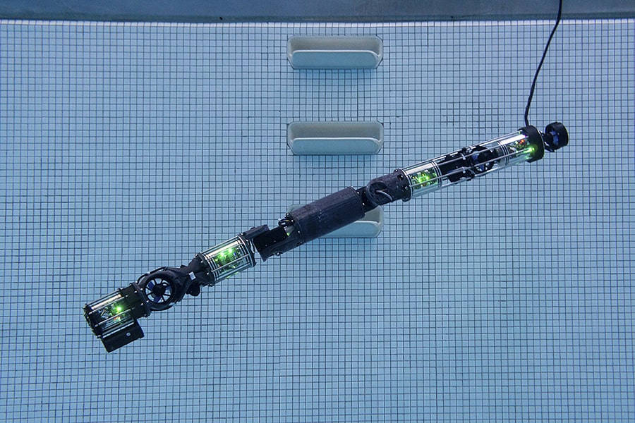 CMU's Snakebot Goes for a Swim - News - Carnegie Mellon University