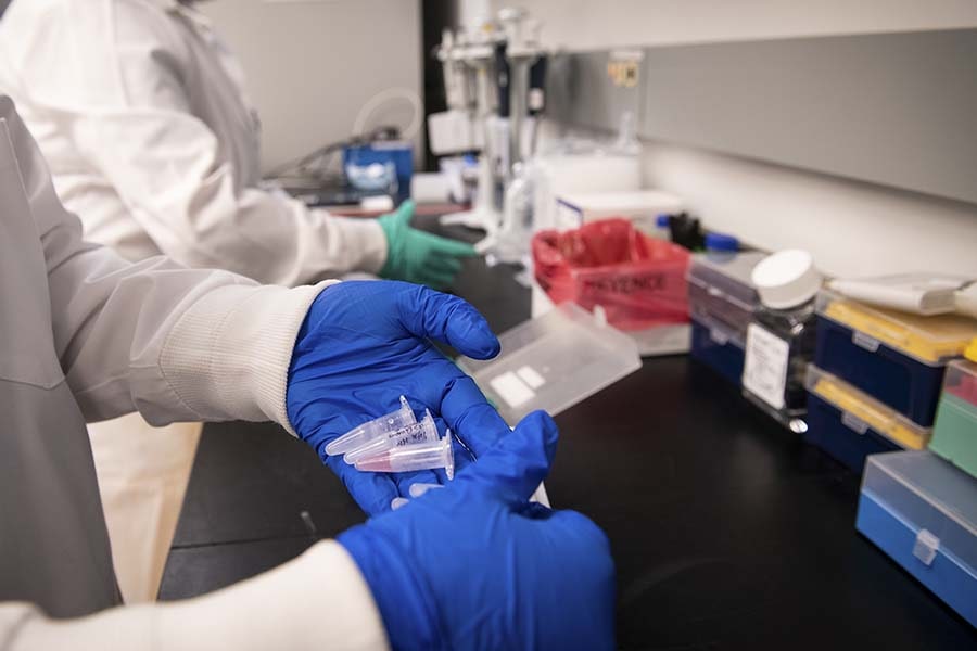 A photo of lab workers holding test samples