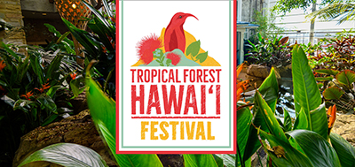Decorative event poster with plants in the background and text tropical forest hawai'i festival