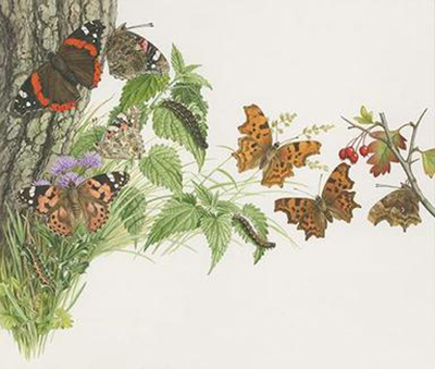 Artwork of butterflies and foliage