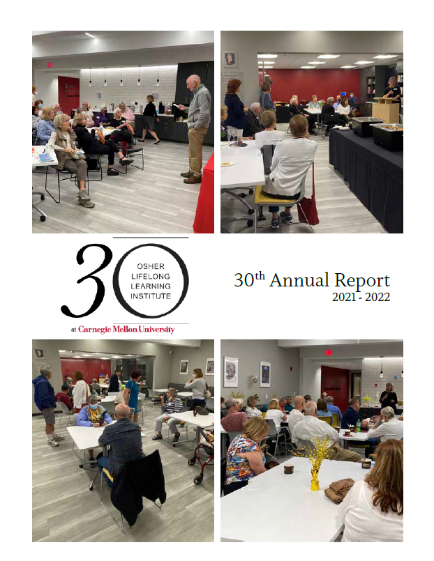 30th annual report cover