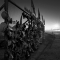 Flight 93 Memorial