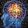 the brain