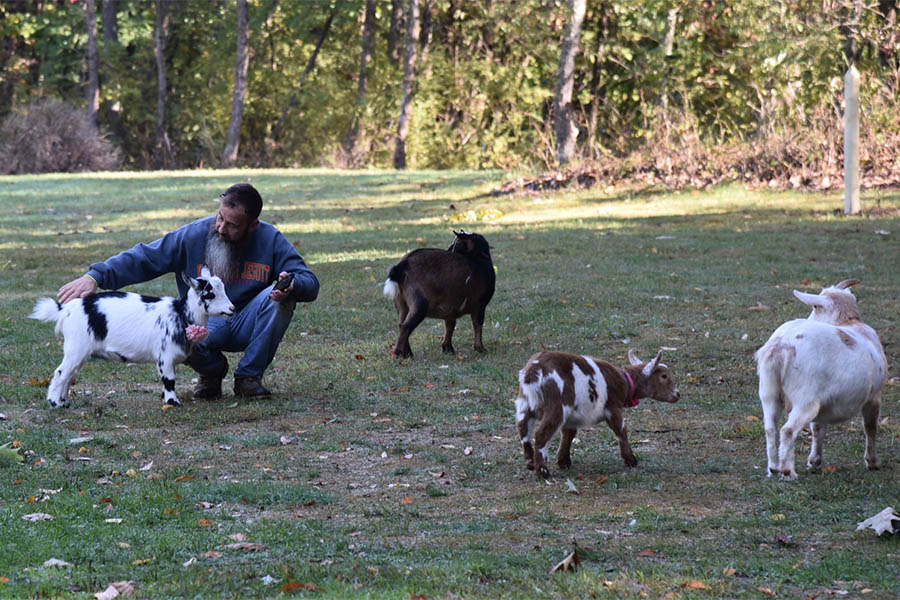 Brad Travaglia on the grass with some goats