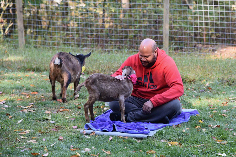 man sitting on yoga mat visiting with three goats