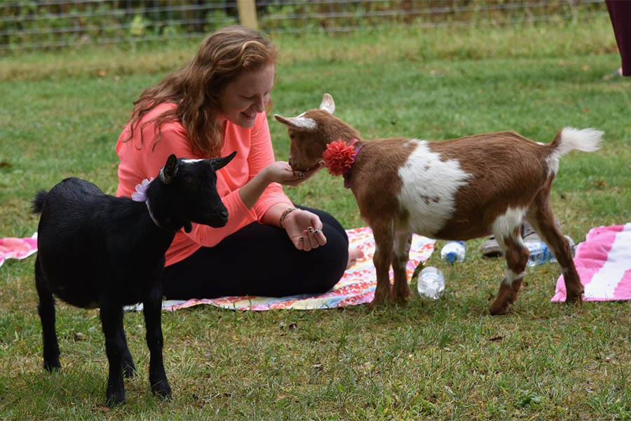 girl sitting on yoga mat feeding goat