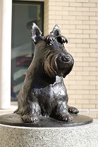 portrait of the Scotty statue