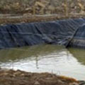 Marcellus Shale