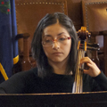 Starling Quartet