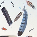 Feathers