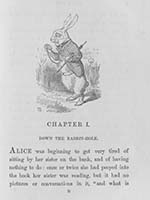 Alice's Adventures in Wonderland image