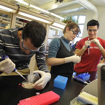 Students participating in an Interdisciplinary Program