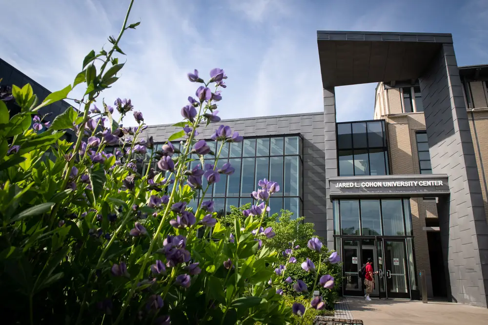 The outside front entrance of the Cohon University Center, surrounded by freshly bloomed purple flowers.
