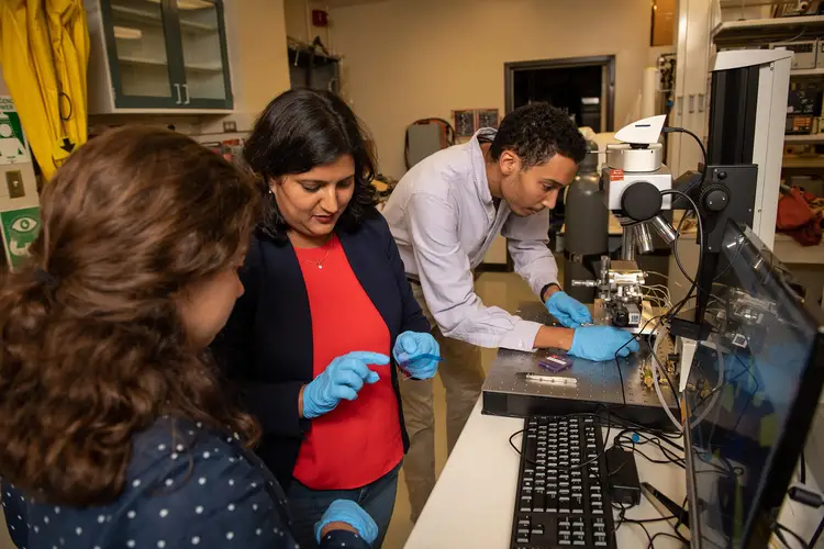 Students and faculty in the lab.