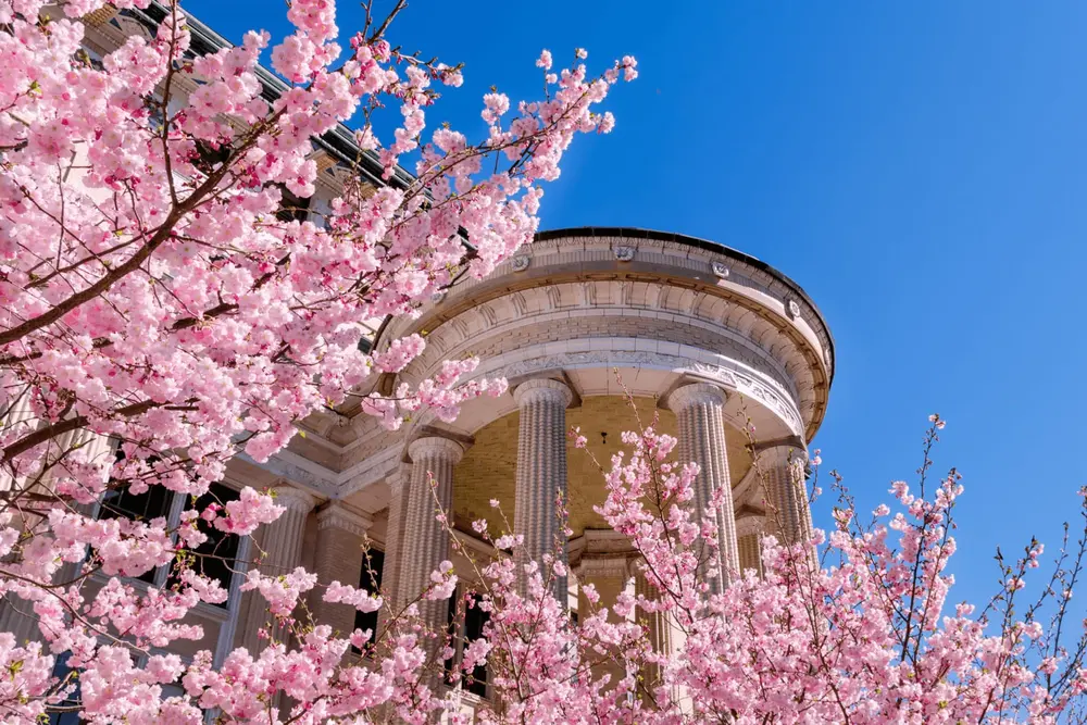 Margaret Morrison building in spring