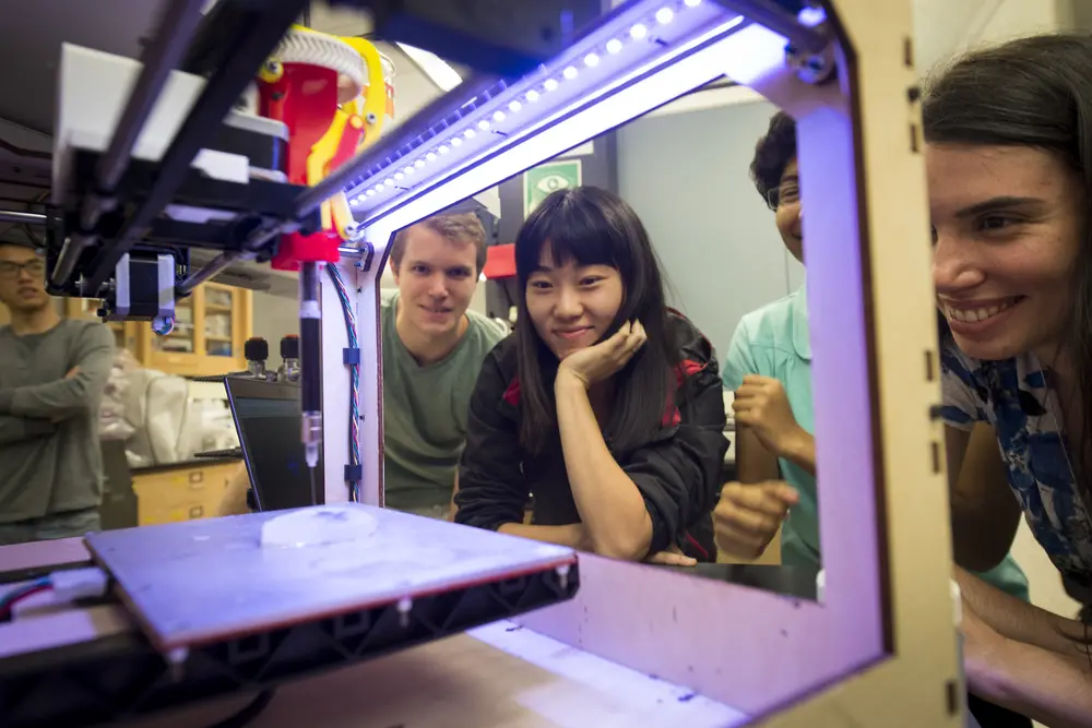 Students looking in on a 3D printed portion of a brain.