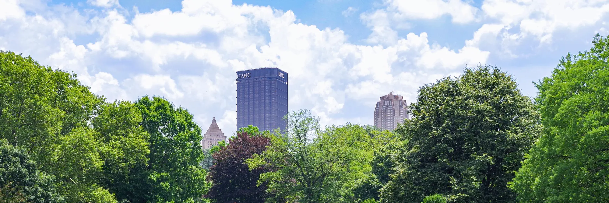 View of downtown Pittsburgh from a park.