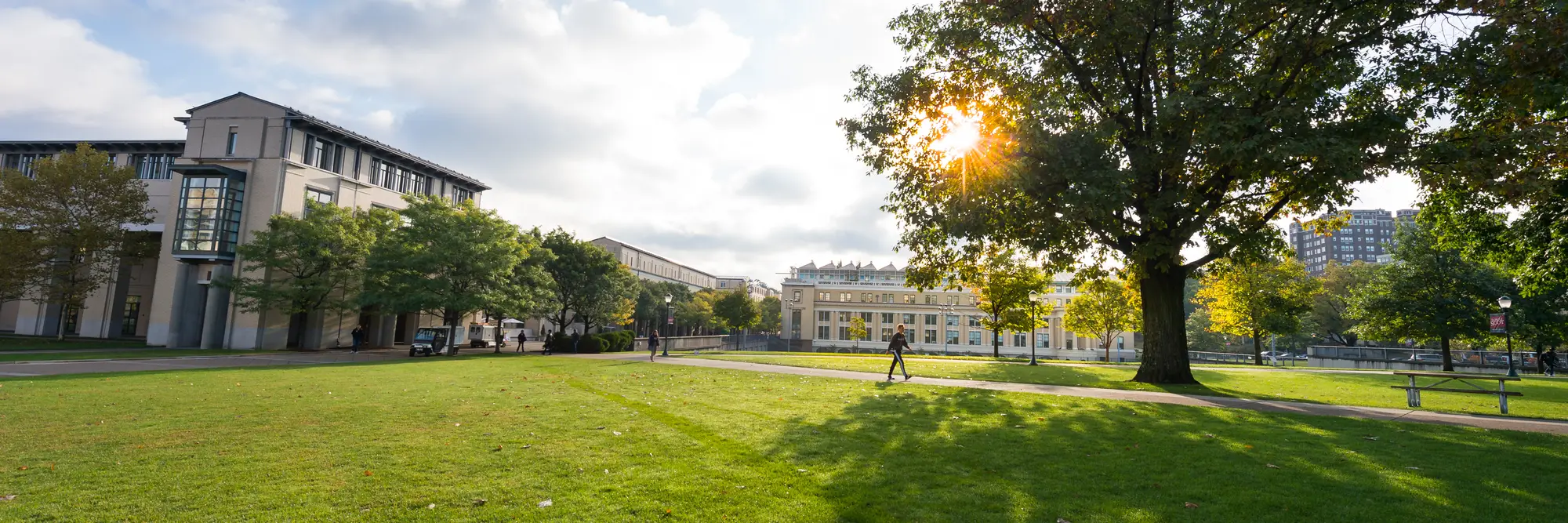 An image of campus