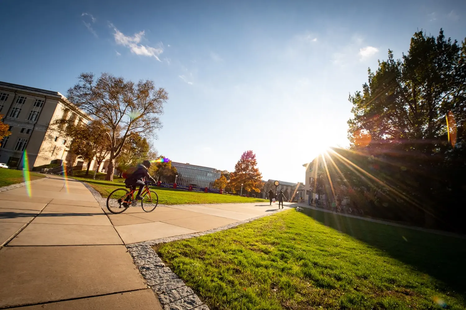 An outdoor shot of the CMU campus with a bike rider and the sun shining brightly.