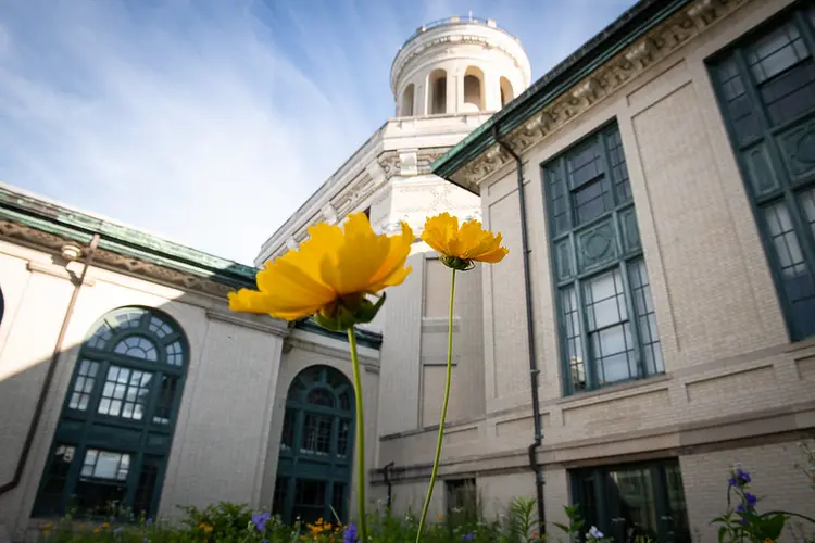 Scenic shot of Hamerschlag Hall on campus