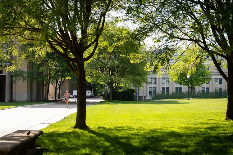 Sunny day on campus