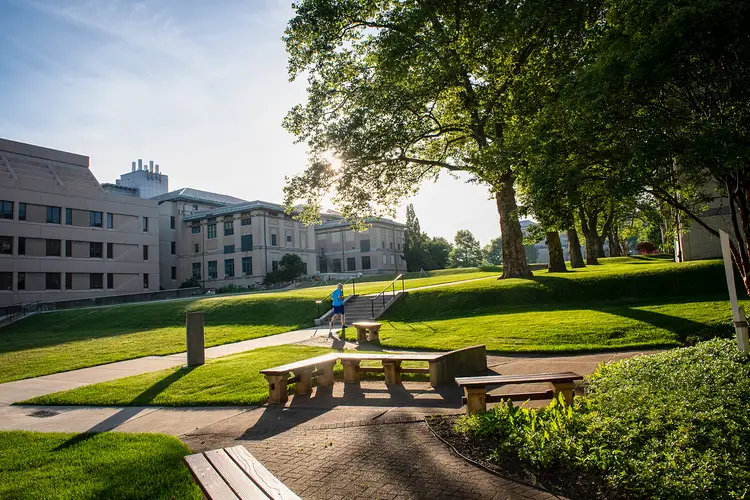 Beautiful day on campus