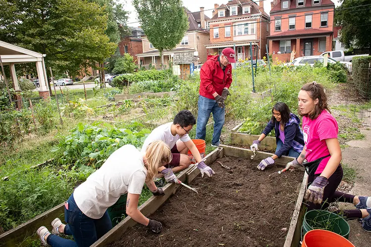 President Jahanian working on a garden with CMU students at CMU's Day of Service