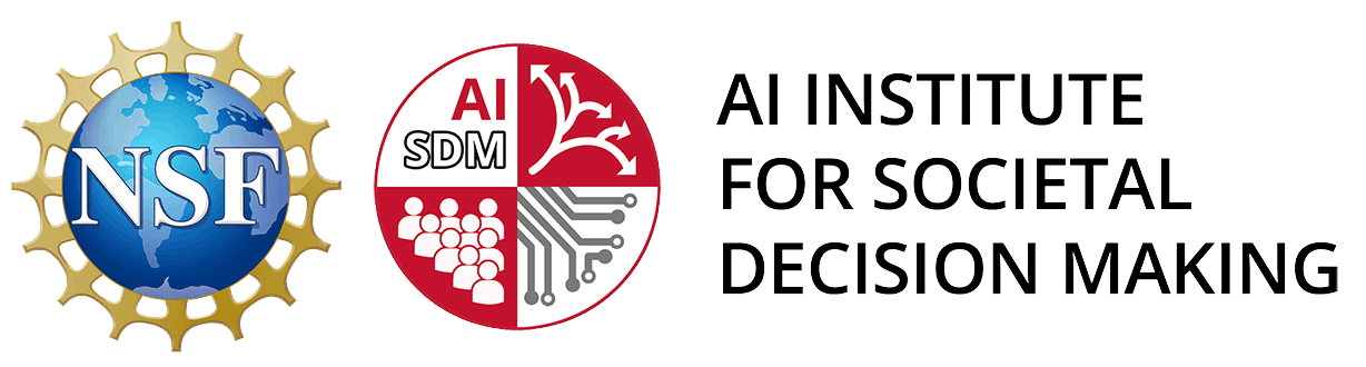 NSF AI-SDM
