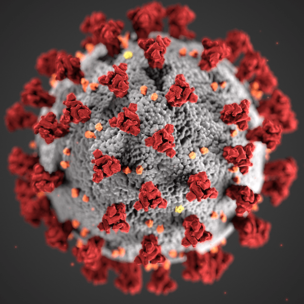 covid-19-600x600-min.png