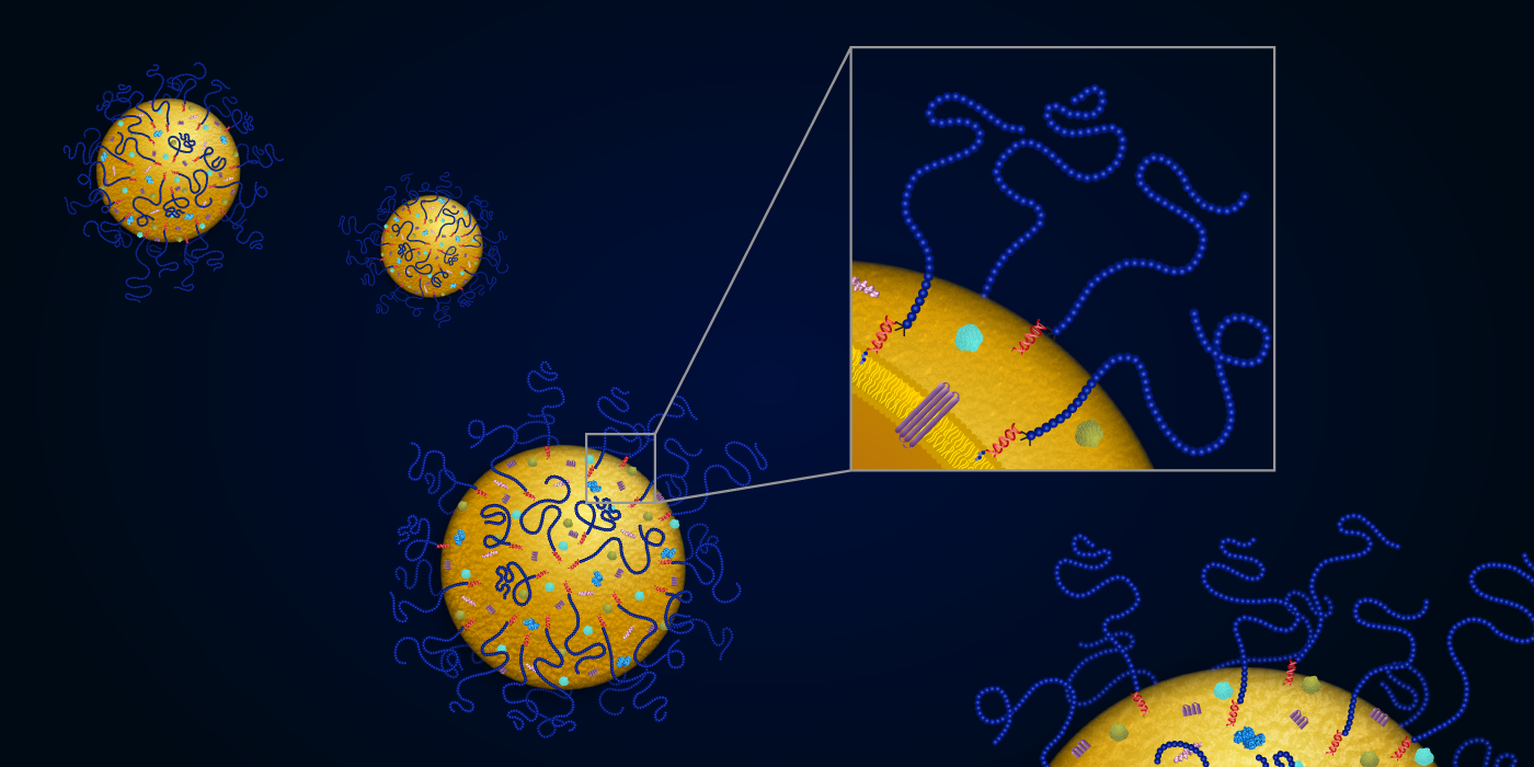 exosome-story_0104_hr.png