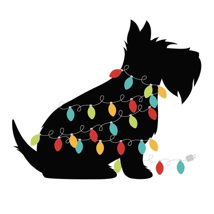 Scotty in holiday lights