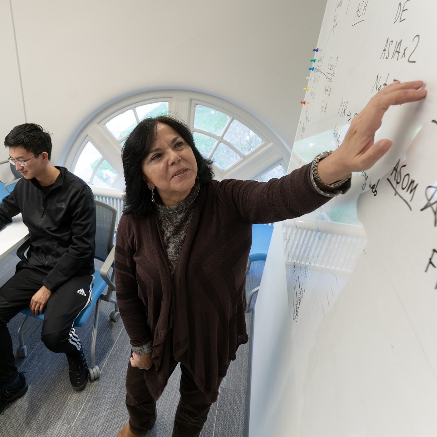 Cleotilde Gonzalez teaching