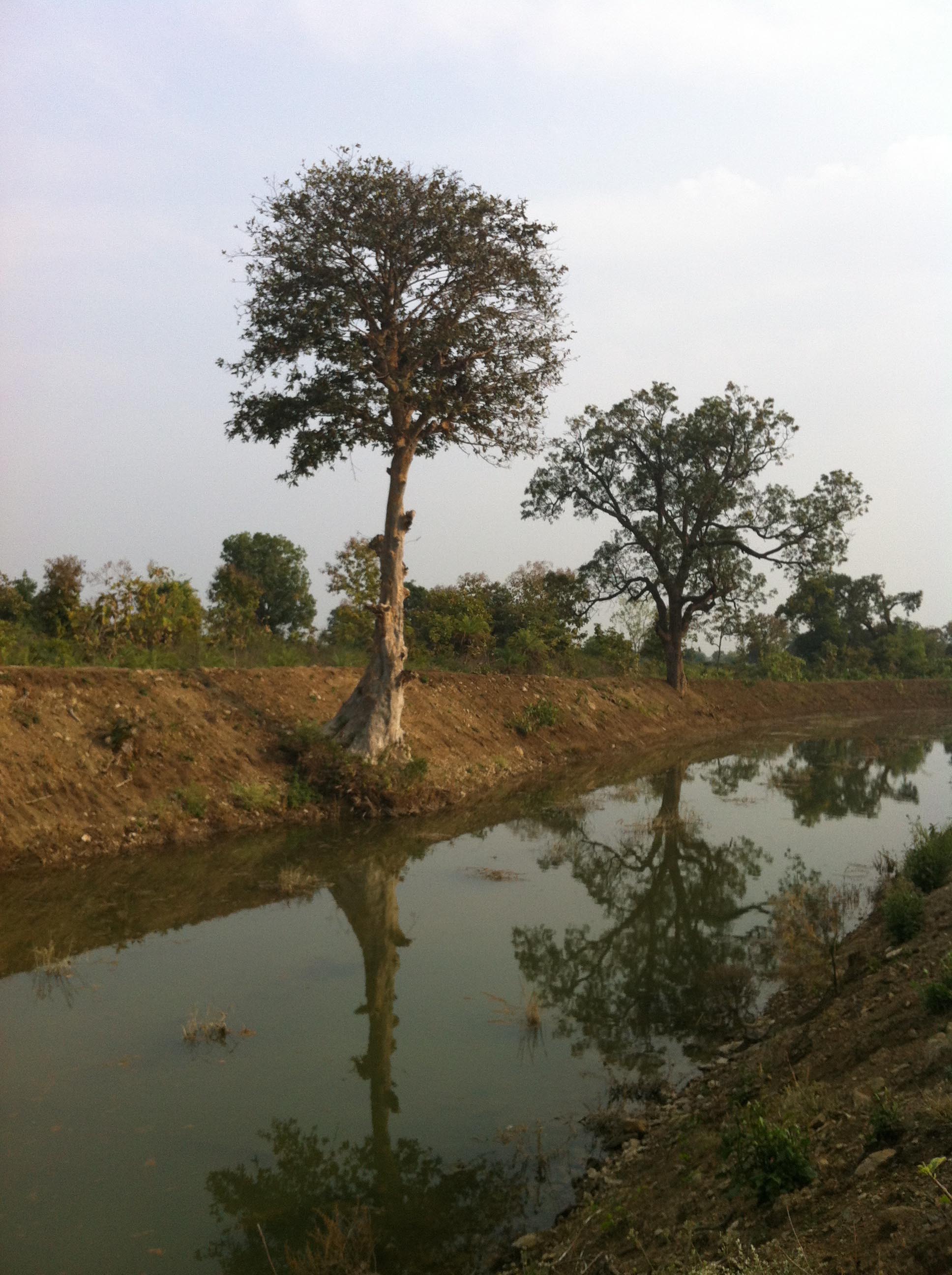 Reclaimed River