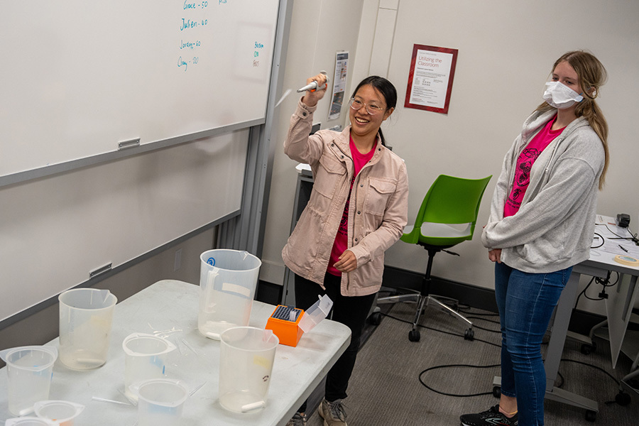 bio lab olympics pipette game