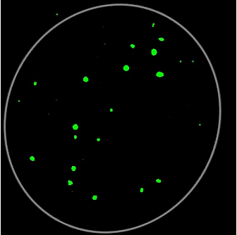 Super-resolution imaging of transcriptional condensates in a mouse embryonic stem cell.