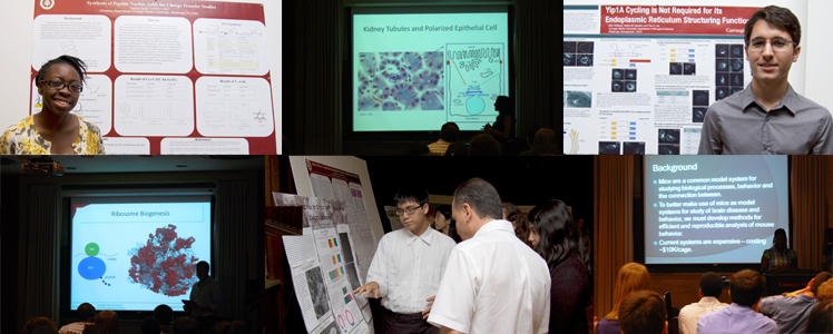SURP Poster Session 2011
