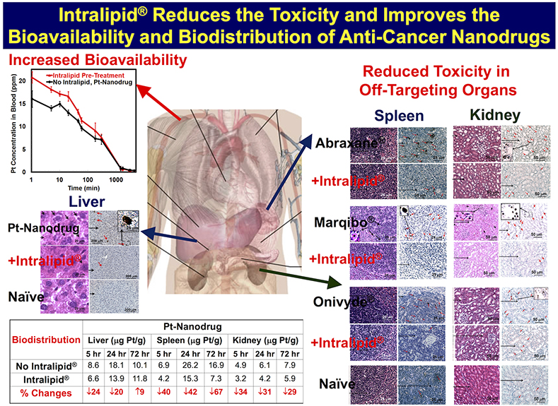 Intralipid® reduces the toxicity and improves the bioavailability and biodistribution of anti-cancer nanodrugs.