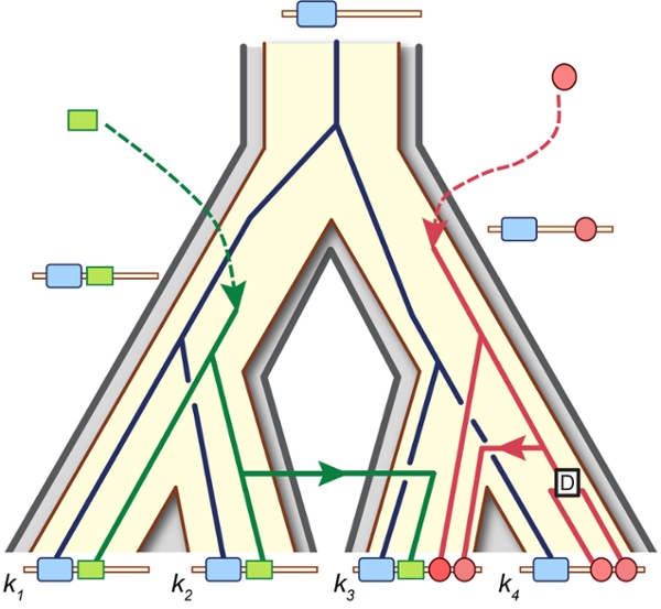 Durand Lab