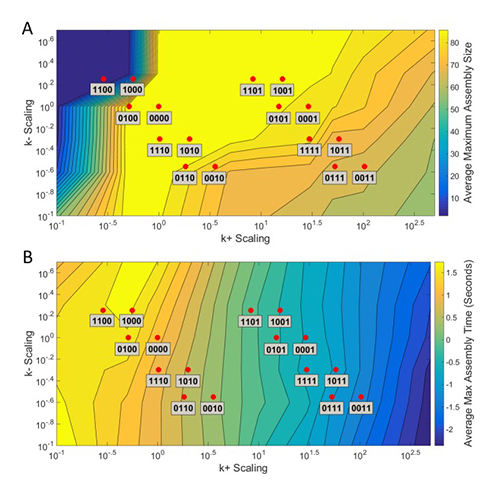 Computational Biology