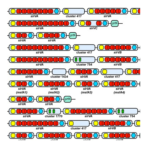 Genomics