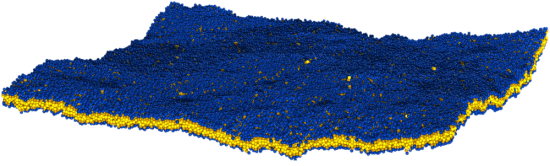 fluctuating CG membrane