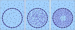 Donnan equilibrium and DNA packaging inside a spherical virus