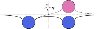 geometry of membrane mediated interactions