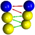 two lipids of the CG Cooke model