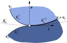 adhesion geometry between two vesicles