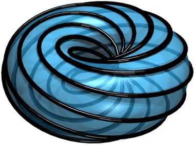 twisted torus