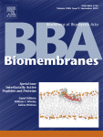 BBABiomembranes