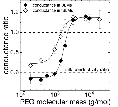 PEG as a functionality probe