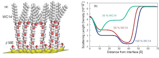 supported membrane