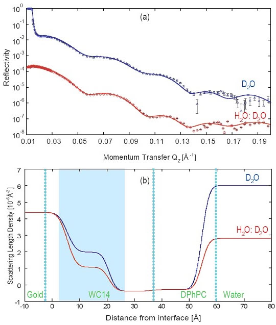 supported membrane data